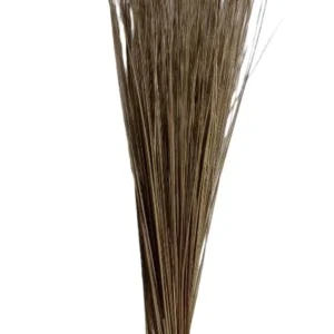 HAVILAH BROOM