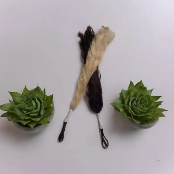 HAVILAH  African Traditional Horsetail ( big)